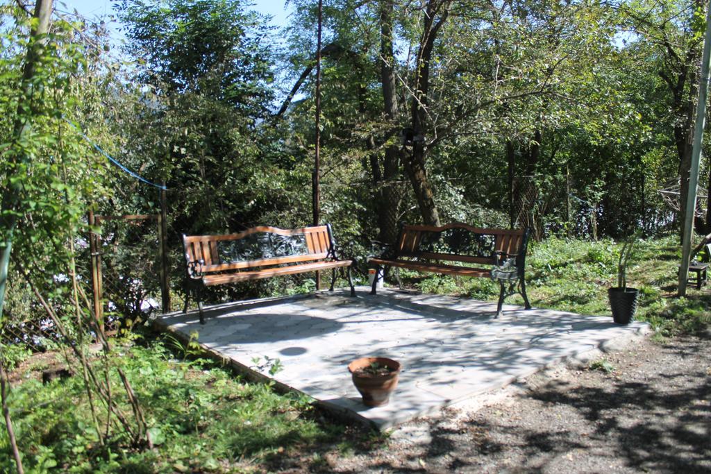 Apartment Cool House Borjomi
