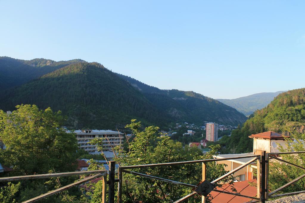 Cool House Apartment Borjomi